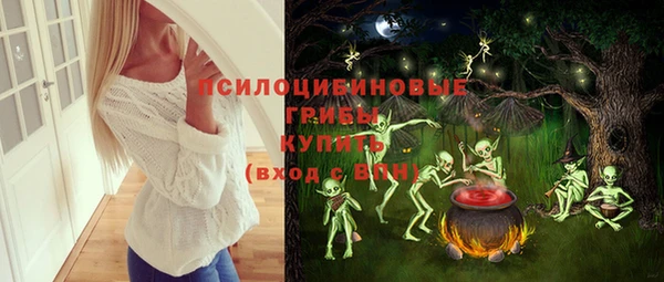 ГАЛЛЮЦИНОГЕННЫЕ ГРИБЫ Аркадак