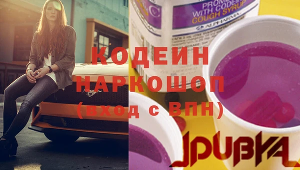 ГАЛЛЮЦИНОГЕННЫЕ ГРИБЫ Аркадак