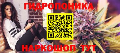 дмт Краснодар