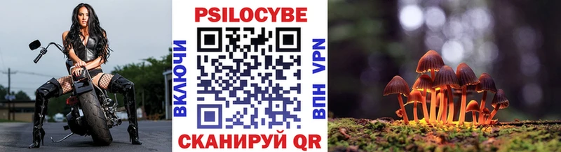 Псилоцибиновые грибы MAGIC MUSHROOMS  наркошоп  Чайковский 