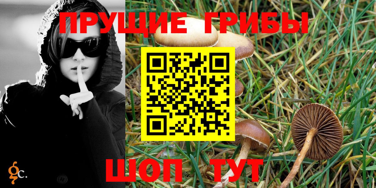 купить закладку  Вход с VPN  Галлюциногенные грибы Psilocybine cubensis  Чайковский  Галлюциногенные грибы MAGIC MUSHROOMS 