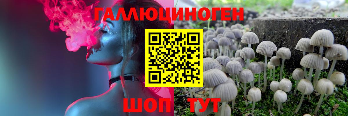 Псилоцибиновые грибы ЛСД Чайковский